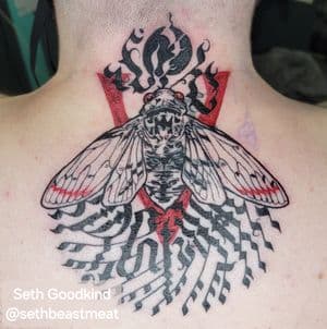 Cicada Calligraphy Coverup
