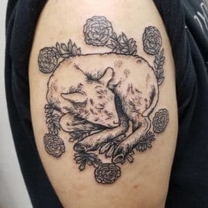 Lamb Tattoo